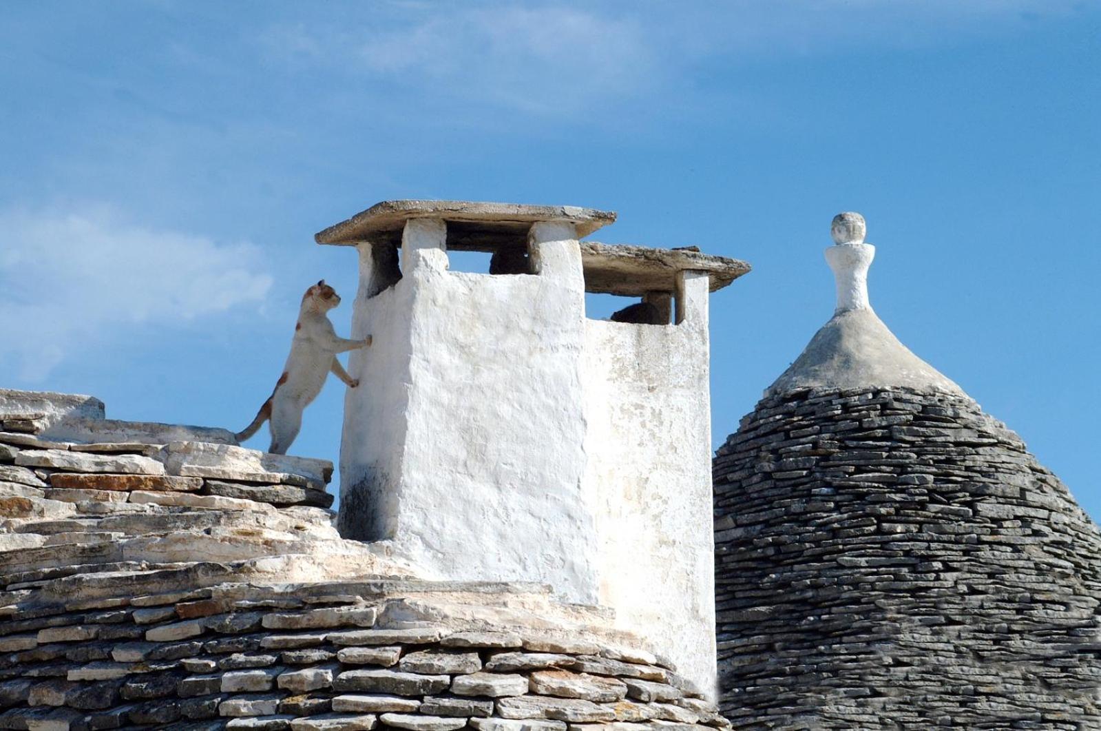 B&B Corso Trieste E Trento Alberobello Luaran gambar